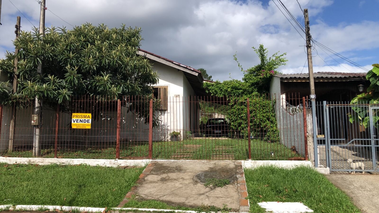 2016 Germano Hauschild, 513, Pasqualini, Eraldo (1)